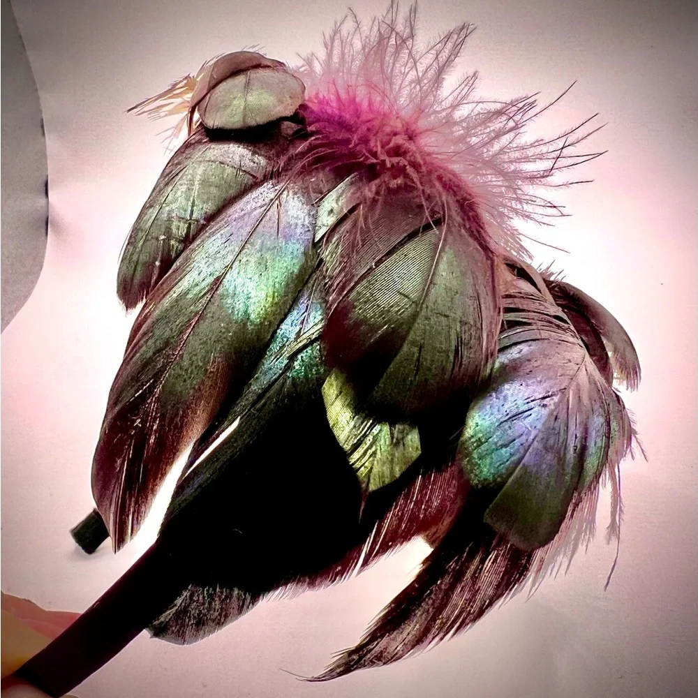 Beautiful Thin Headband Decorated w/Feathers & Crystals-Multicolored, Ne…